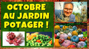 En octobre c'est le temps de terminer une bonne partie des récoltes et de préparer le potager pour l'hiver. Octobre 2019 Au Jardin Potager Que Planter Semer Et Bouturer Youtube