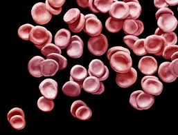 A Closer Look At Promising Alternative Therapies For Lyme Disease Goop