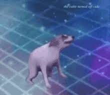 Dancing Dog Gifs Tenor Log in to save gifs you like, get a customized gif feed, or follow interesting gif creators. dancing dog gifs tenor