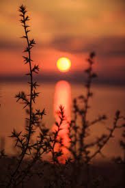 83 sunset nature wallpapers images in full hd, 2k and 4k sizes. Sunset Nature Pictures Download Free Images On Unsplash