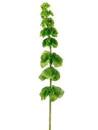 Silk Bells Of Ireland Spray In Green 29in Tall Silk Flowers Wedding Flower Spray Ireland Tattoo