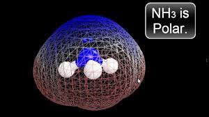 Check spelling or type a new query. Is Nh3 Polar Or Nonpolar Ammonia Youtube