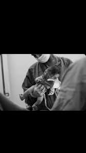 Amanda Zappa auf Instagram