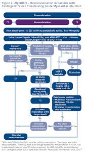 Acute coronary syndrome as a cause of sudden death in patients with old myocardial infarction: Evidence Based Management Of Cardiogenic Shock After Acute Myocardial Infarction Icr Journal