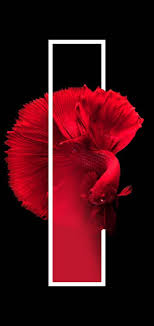 Red wallpapers, backgrounds, images— best red desktop wallpaper sort wallpapers by: Samsung Galaxy S10 Wallpapers Hd