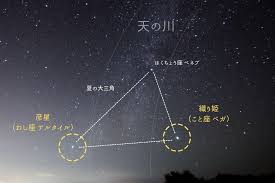 福井新聞社 - News update