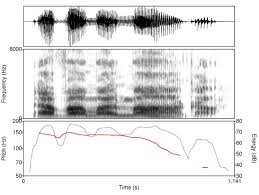 Some common words which practice the pronunciation of /k/ include the. K J Kohler Timing And Communicative Functions Of Pitch Contours