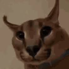 Search discover and share your favorite pfp gifs. Cool Gif Big Floppa Know Your Meme