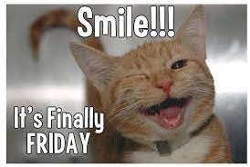 Smile Its Friday Funny Animal Pictures Funny Cats Funny Animals
