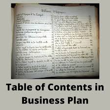 Nature of the company products or service offered by the company nature of the industry the rationale for the creation of the company the rationale for catering to a specific market. Table Of Contents In Business Plan Overview Contents And Example