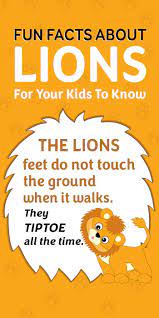 55 Interesting And Fun Lion Facts For Kids Lion Facts For Kids Fun Facts About Lions Facts For Kids