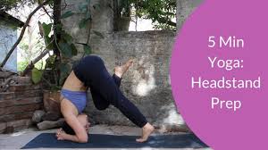 Headstand pose and other inversions require preparation, strength, and practice. 5 Min Yoga Headstand Prep Youtube