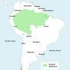 Amazon rainforest birds account for at least one third of the world's bird species, with the toucan being the most popular icon. 3