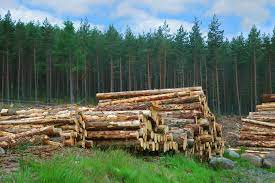 natural resource management | Description, History, & Objectives |  Britannica