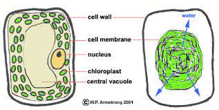 We did not find results for: Lab Manual Exercise 1