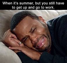 Nurse Summer Memes Jpg 564 535 Funny Memes Dog Sneezing Memes