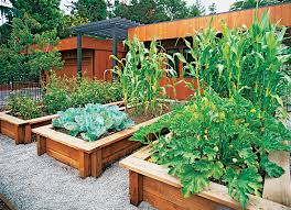 Ideas For Your Garden Layout Sunset Magazine