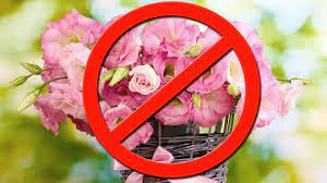 Order and send flowers to your mom and get free delivery with our make your mom smile by gifting gorgeous flowers on mothers day. Why You Shouldn T Buy Mom Flowers On Mother S Day Marketwatch