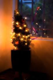 Pin By Sydney Palmer C De Baca On Christmas Trees Christmas Lights Christmas Tree Light Up Gorgeous Christmas