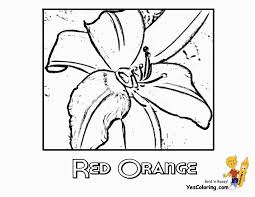 Check spelling or type a new query. Luxurious Coloring Flower Pictures Lily Free Easter Lilies