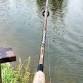 Annual Catfish Derby