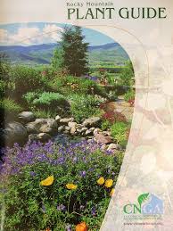 Alpine buttercup flowers ranunculus adoneus. Publications