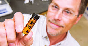 Organic farms declining, even as sales soar