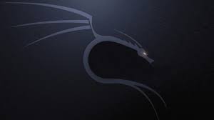 Also, the desktop background can be installed on any operation system: Kali Linux Wallpaper 4k Kali Tapete 1600x900 Wallpapertip