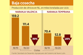 Caeria Hasta 40 Produccion De Naranja