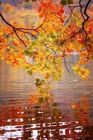 See more ideas about beautiful fall, pictures, fall pictures. Autumn Leaves At The Lake Autumn Scenery Fall Pictures Nature Photography