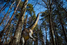 Muzeul tehnicii populare este unul dintre cele mai mari muzee în aer liber din românia. Foto La Dino Parc RaÈ™nov A Ajuns Cel Mai Inalt Dinozaur Din Sud Estul Europei Are O InÄƒlÈ›ime Cat DouÄƒ Girafe Puse Una Peste Alta