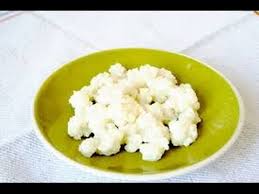 как вырастить молочный гриб с нуля в домашних условиях Vyrashivanie Molochnogo Griba