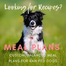 I added two small containers of beef baby food to this recipe and a dash of honey and my dog liked these treats however i only rated them a 3 because they didn't last very long. Feeding A Diabetic Dog A Raw Diet Pasteurinstituteindia Com