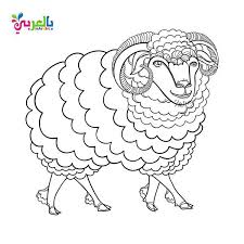 Eid Ul Adha Coloring Pages Activity Sheets Belarabyapps Eid Ul Adha Crafts Cool Coloring Pages Muslim Kids Activities