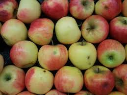 Imagier Des Fruits Avec Images Fruits Fruit Fruits D Automne