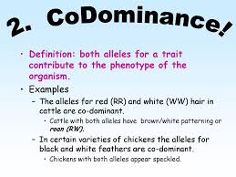 The first variant is termed dominant and the second recessive. 11 3 Exploring Mendelian Genetics Ppt Download