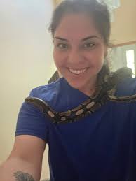 What is the morph of this ball python?