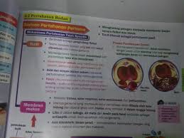 You can do the exercises online or download the worksheet as pdf. Tingkatan 2 Bab 4 Brain Genius Mastery Mathematic Facebook