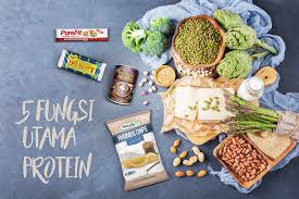 Ketika mengkonsumsi salmon, kamu bisa mendapatkan protein, vitamin b, lemak sehat, kalium, dan selenium. 5 Fungsi Utama Protein Pt Rubiyat Indonesia