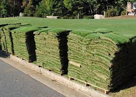 Maybe you would like to learn more about one of these? Baton Rouge Sod Sod For Sale Delivery And Installation