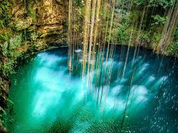 We did not find results for: Best Cenotes In Riviera Maya