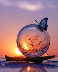 Over 40,000+ cool wallpapers to choose from. Tumblr Beautiful Wallpapers Backgrounds Beautiful Wallpapers Photography Wallpaper
