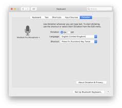 How To Dictate Offline In Macos Catalina