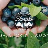blueberry-hiroshima.com からの広島県 ブルーベリー狩り