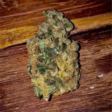 Santa Maria aka Planck Weed Strain Information