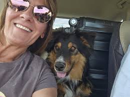 Vacation in Utah, came home with this cutie who was dumped. Name  suggestions needed. : r/miniaussie