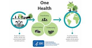Clients who have shared their email address with us may view their pets medical records. One Health Bringing Health To Humans Animals And The Environment The Rural Monitor