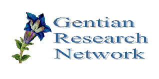 Image result for Schinziella