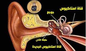 تقديم قناة الفضائية السورية خدمات إعلامية شاملة ومتنوعة تمزج بين الترفيهية والاجتماعية والتثقيفية. Uzivatel ÙØ­ÙØ¯ Ø£Ø¨ÙØ§ÙÙØ¶Ù Na Twitteru Ø¨ÙØ§ Ø¥Ù ÙÙØ§Ø© Ø§Ø³ØªØ§ÙÙÙØ³ ØªÙØ¬Ø¯ Ø¯Ø§Ø®Ù Ø§ÙØ£Ø°Ù ÙÙÙ ÙØ§ÙØ¹ÙÙØ´ ÙÙØ§Ø© Ø§Ø³ØªØ§ÙÙÙØ³ Ø§ÙØ¬Ø¯ÙØ¯Ø© ÙÙØ®ÙÙ Ø§ÙØ£Ø°Ù ØªÙØ±Ø­ Http T Co Ljf6bugcsd