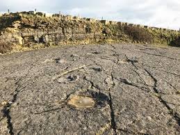 We did not find results for: Stand In Dinosaur Footprints At Spyway Swanage Toddle Doddle